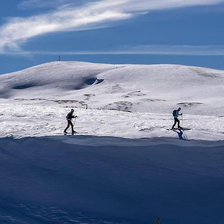 Studio Chaleureux Au Depart Des Sentiers Et Pistes De Ski Lajoux 外观 照片
