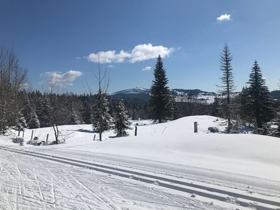 Studio Chaleureux Au Depart Des Sentiers Et Pistes De Ski Lajoux 外观 照片