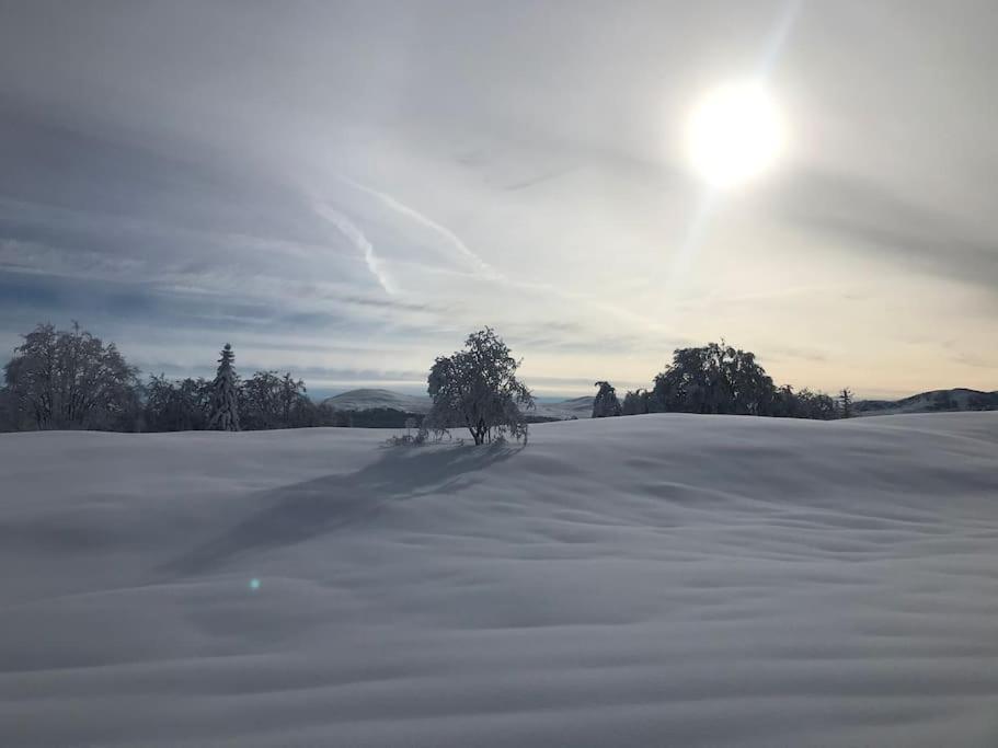 Studio Chaleureux Au Depart Des Sentiers Et Pistes De Ski Lajoux 外观 照片