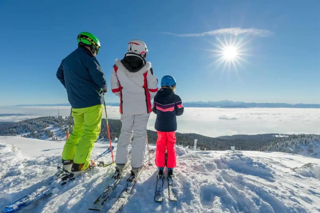 Studio Chaleureux Au Depart Des Sentiers Et Pistes De Ski Lajoux 外观 照片