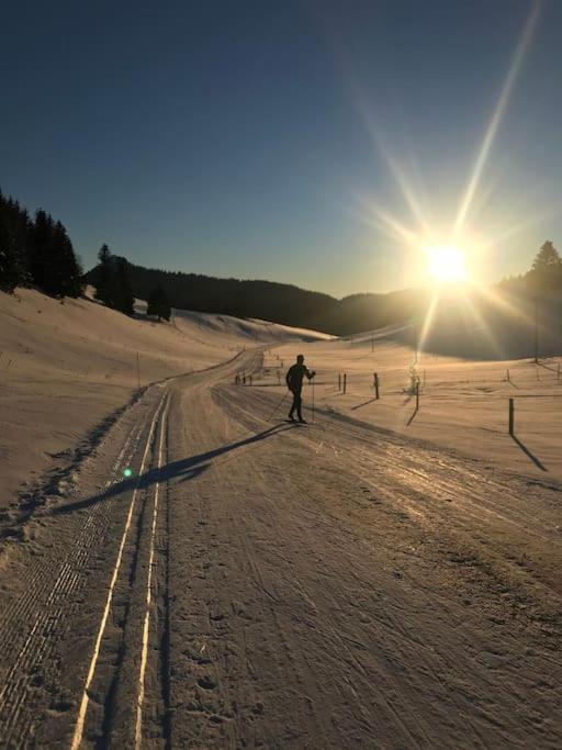 Studio Chaleureux Au Depart Des Sentiers Et Pistes De Ski Lajoux 外观 照片