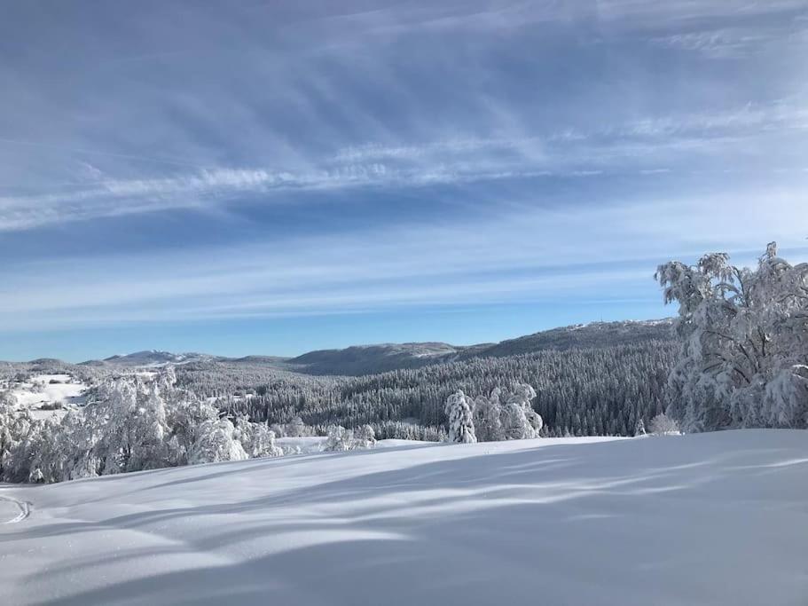 Studio Chaleureux Au Depart Des Sentiers Et Pistes De Ski Lajoux 外观 照片