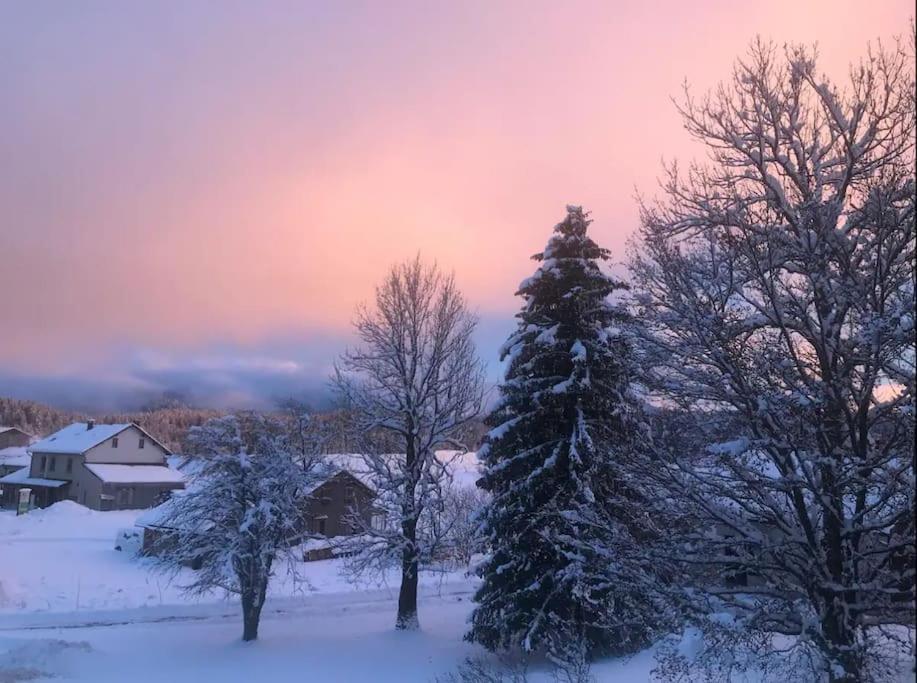 Studio Chaleureux Au Depart Des Sentiers Et Pistes De Ski Lajoux 外观 照片