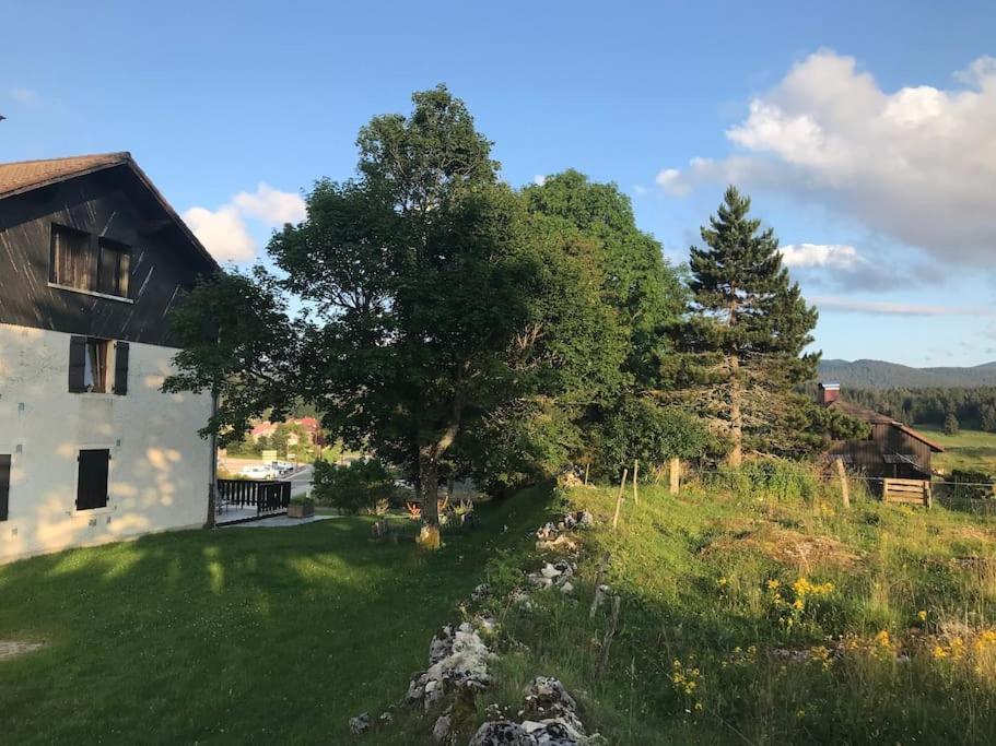 Studio Chaleureux Au Depart Des Sentiers Et Pistes De Ski Lajoux 外观 照片